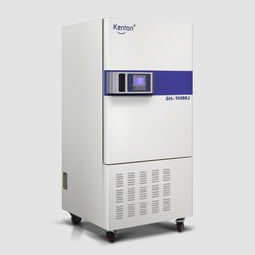 實(shí)驗(yàn)室設(shè)備廠商 實(shí)驗(yàn)干燥箱 實(shí)驗(yàn)室烘箱批發(fā)