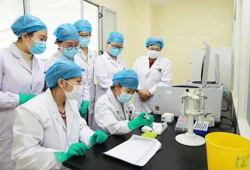 血液實驗室加快新項目進展 為提高檢測技術奠定良好基礎