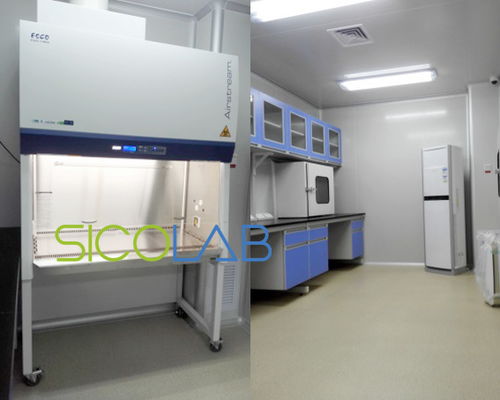 市級(jí)醫(yī)院核酸檢測(cè)實(shí)驗(yàn)室設(shè)計(jì) 裝修 建設(shè) 改造及儀器設(shè)備