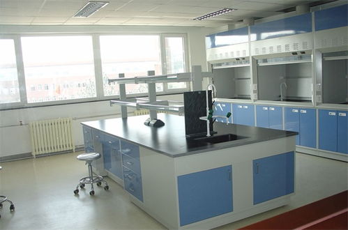 天津鋼木實(shí)驗(yàn)臺(tái)批發(fā)按需定制 天津市保全實(shí)驗(yàn)室設(shè)備