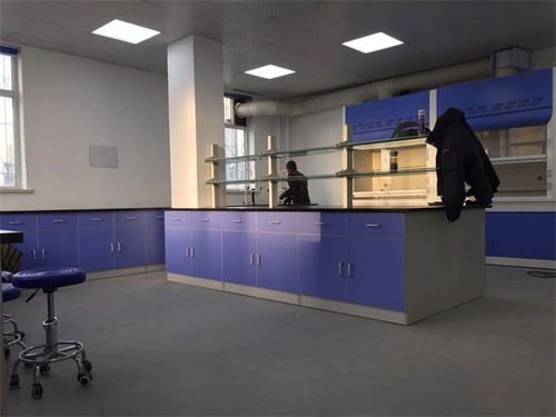 山東全鋼實驗臺貨真價實 保全實驗室設備