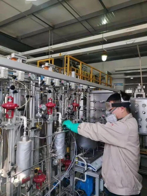 基層之光 十年堅守 不忘初心