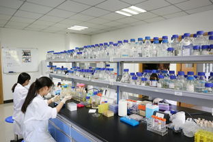 暑假堅(jiān)守在校園里的身影最美麗