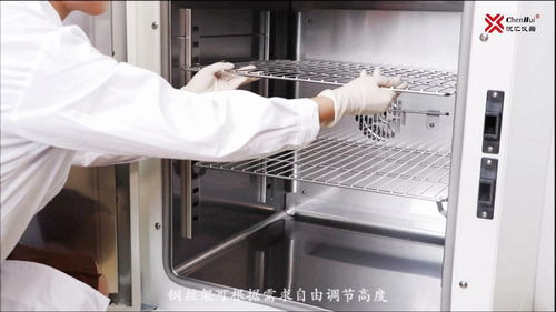 of 22gw 鼓風干燥箱 實驗室烘箱 干熱式滅菌器 沉匯儀器