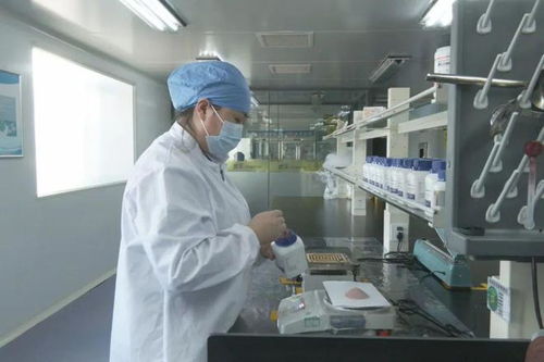 北林 強(qiáng)化科技創(chuàng)新引領(lǐng) 加快發(fā)展新質(zhì)生產(chǎn)力