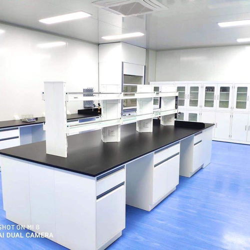 正定縣儀器操作臺 理化板臺面鋼木實驗臺試驗桌 實驗室家具一站式服務