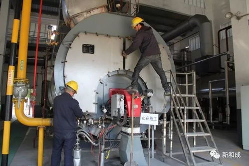 新春特寫 致敬堅守崗位的新和成人