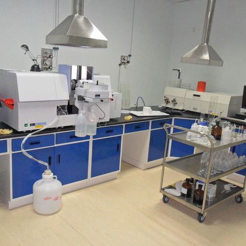 原子吸收罩 實驗室設(shè)備 通風系統(tǒng)工程 凈化系統(tǒng)工程