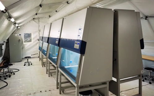 科技抗疫,海爾在行動