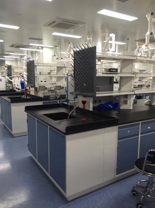 供應(yīng)東方通風(fēng)柜 化驗(yàn)室通風(fēng)柜 東方實(shí)驗(yàn)室設(shè)備供應(yīng)商