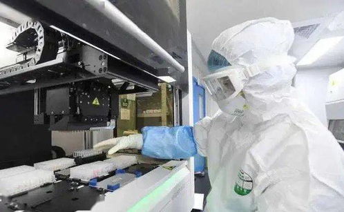 疫情突變 三文魚案板測(cè)出新冠,46人感染 病毒首次出現(xiàn)動(dòng)物傳人,37萬生命被撲殺