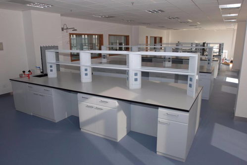 銀川實(shí)驗(yàn)臺(tái),銀川通風(fēng)柜,銀川實(shí)驗(yàn)室設(shè)計(jì)單位,實(shí)驗(yàn)室家具分幾類(lèi)