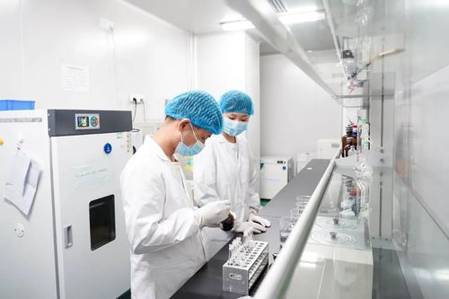 專注醫療科技 廈門海滄企業深耕微創耗材研發與實驗室儀器保養服務